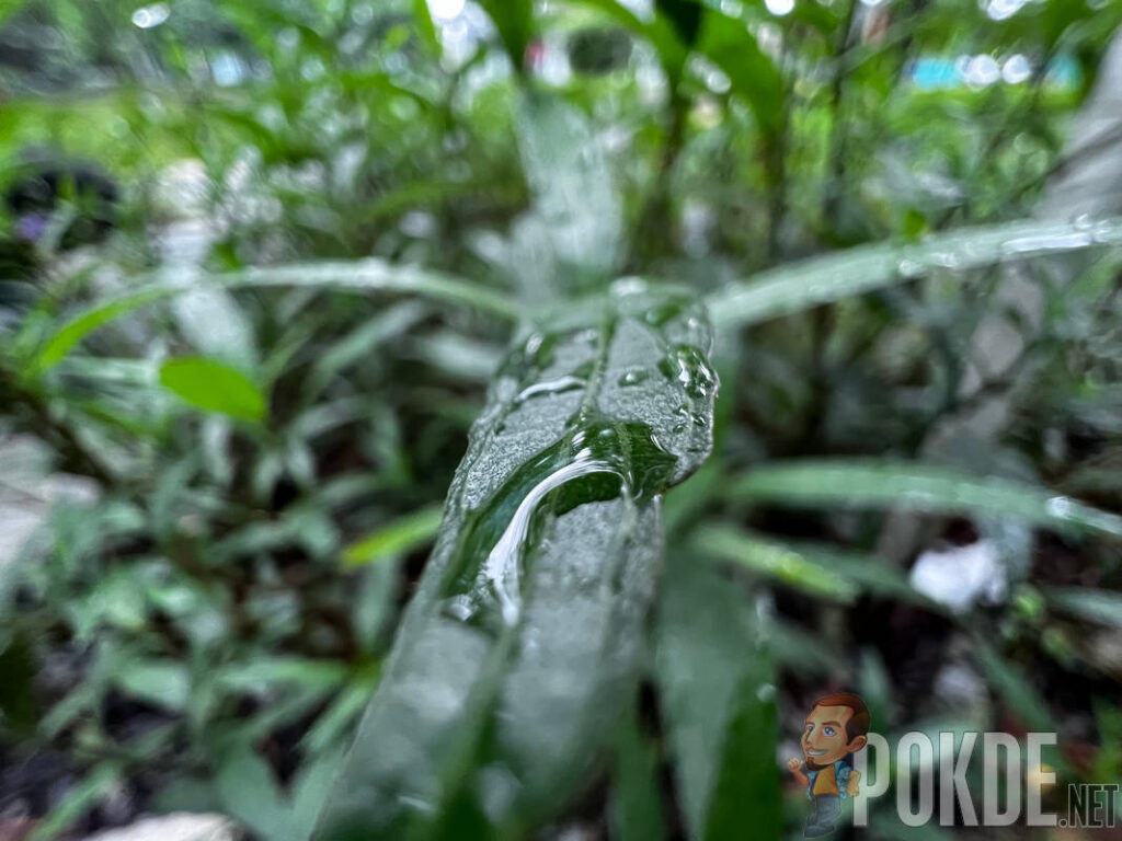iPhone 13 Pro Review Camera Sample