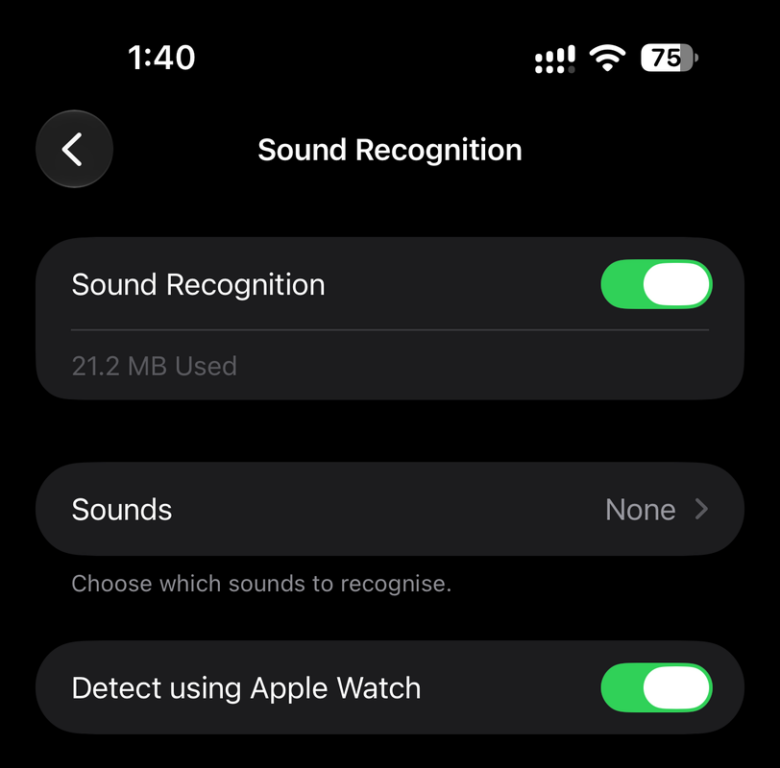 Apple Watch Series 12 Review - Health First, Finally Fun - 53 iPhone Sound Recognition settings with Detect using Apple Watch turned on